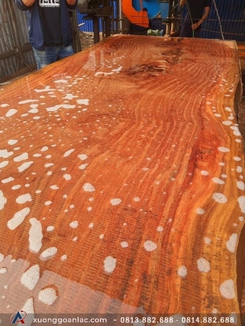 Sập nguyên tấm gỗ Gõ Đỏ 650x200x20cm anh Hoàng ở Long An