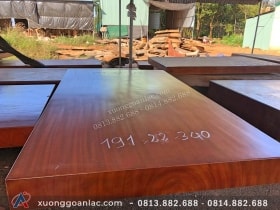 Chiếu ngựa nguyên khối 1 tấm gỗ Gõ Đỏ 340x191x22cm (Cô Nhã, Bắc Giang)