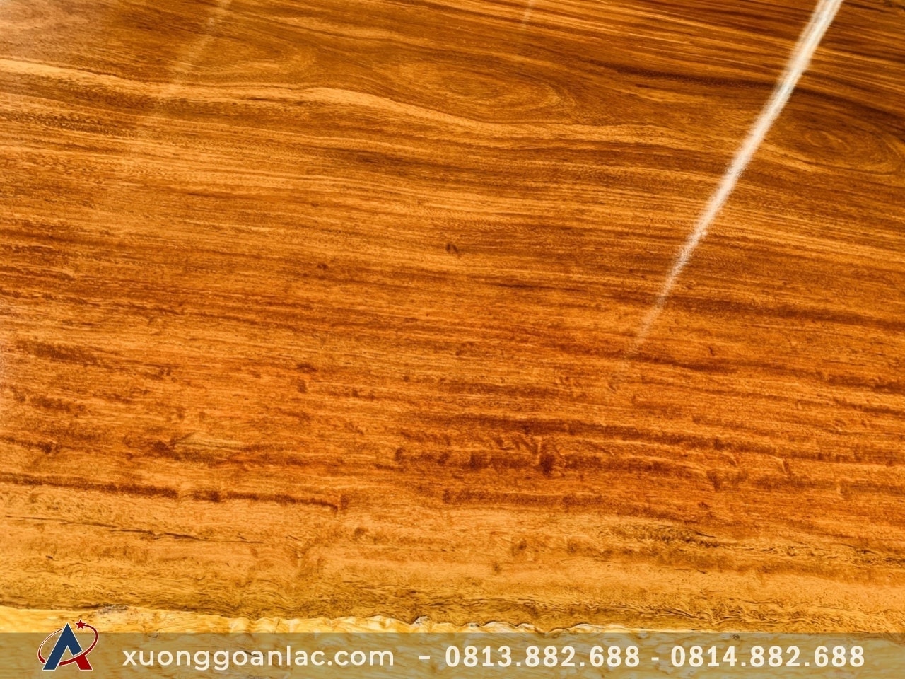 Phản gỗ cẩm hồng nguyên tấm 320x180x20cm - Xưởng Gỗ An Lạc