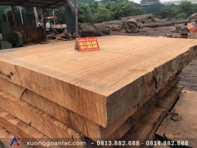 Xẻ cây gỗ cẩm hồng đường kính 2m7 làm mặt bàn nguyên khối