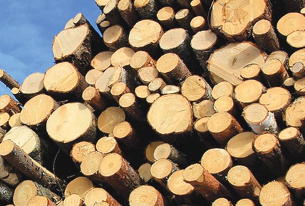 thách thức ngành gỗ do xung đột Nga Ukraine