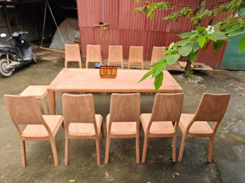 bộ bàn ăn gỗ hương đá 10 ghế tựa trơn