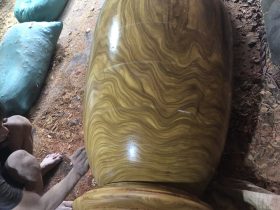 mẫu lục bình gỗ cẩm vàng hàng cao cấp